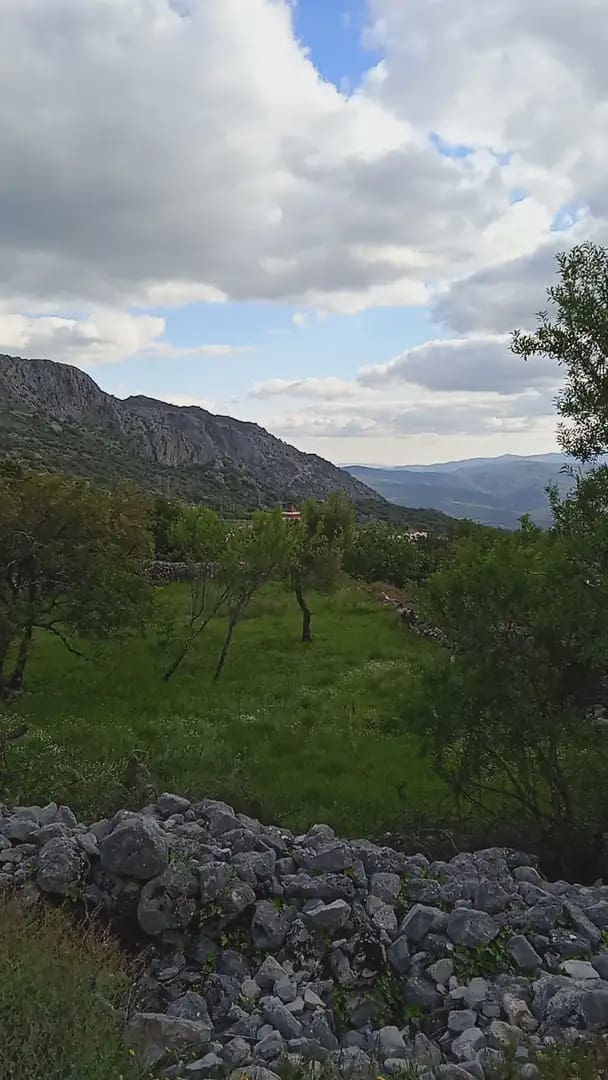 Mark till salu i Benaocaz - 90 000 € (Ref: 10016379)