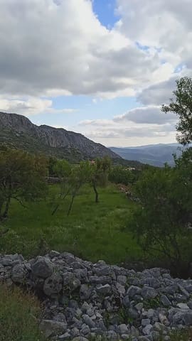 Teren niezagospodarowany na sprzedaż w Benaocaz - 90 000 € (Ref: 10016379)