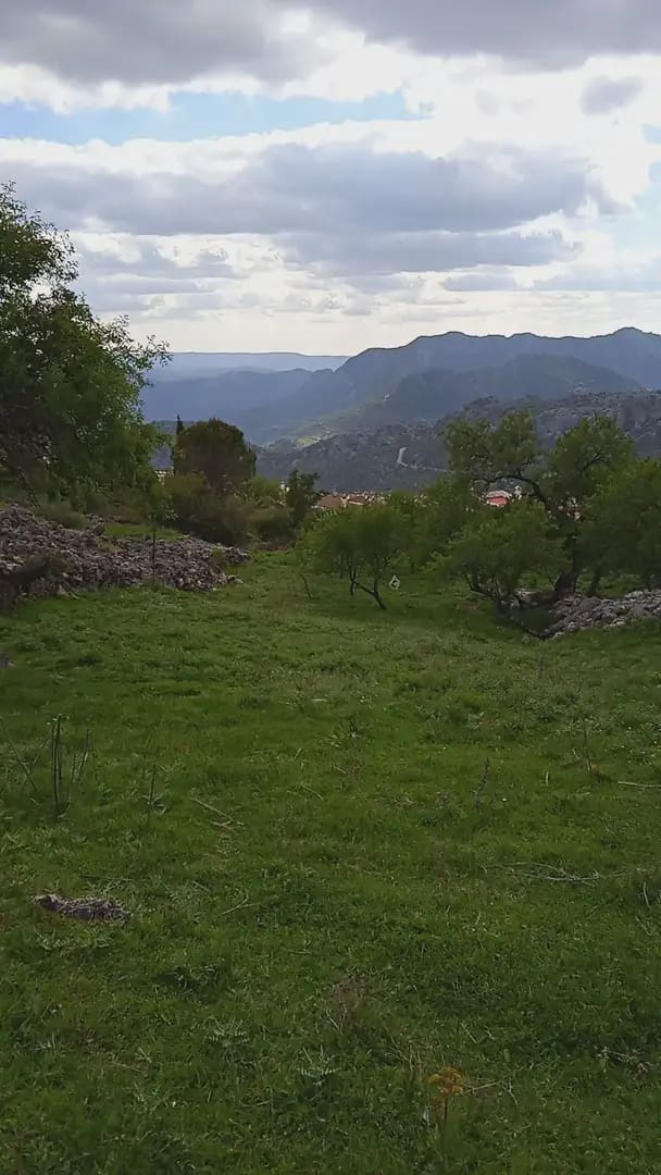 Mark till salu i Benaocaz - 90 000 € (Ref: 10016379)