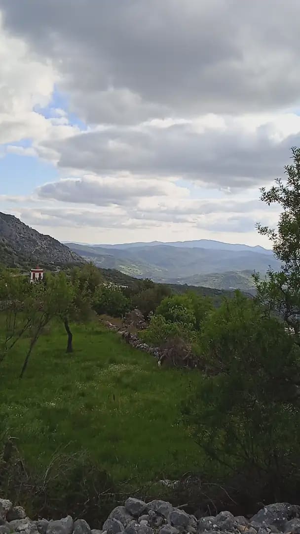 Mark till salu i Benaocaz - 90 000 € (Ref: 10016379)
