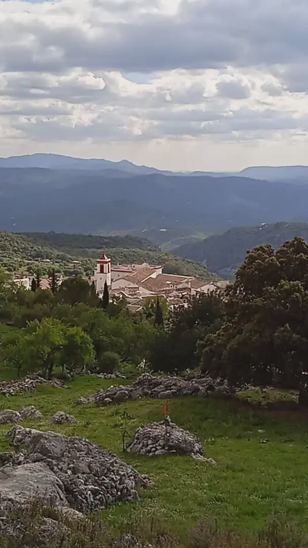Mark till salu i Benaocaz - 90 000 € (Ref: 10016379)