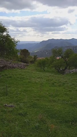 Teren niezagospodarowany na sprzedaż w Benaocaz - 90 000 € (Ref: 10016379)
