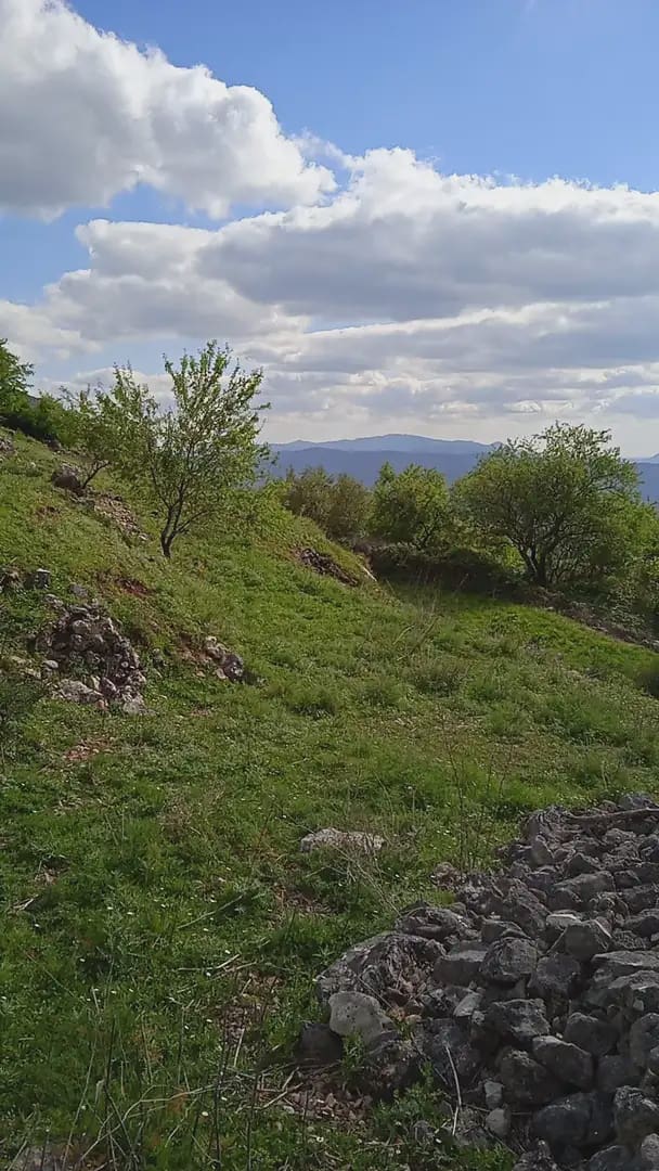 Mark till salu i Benaocaz - 90 000 € (Ref: 10016379)