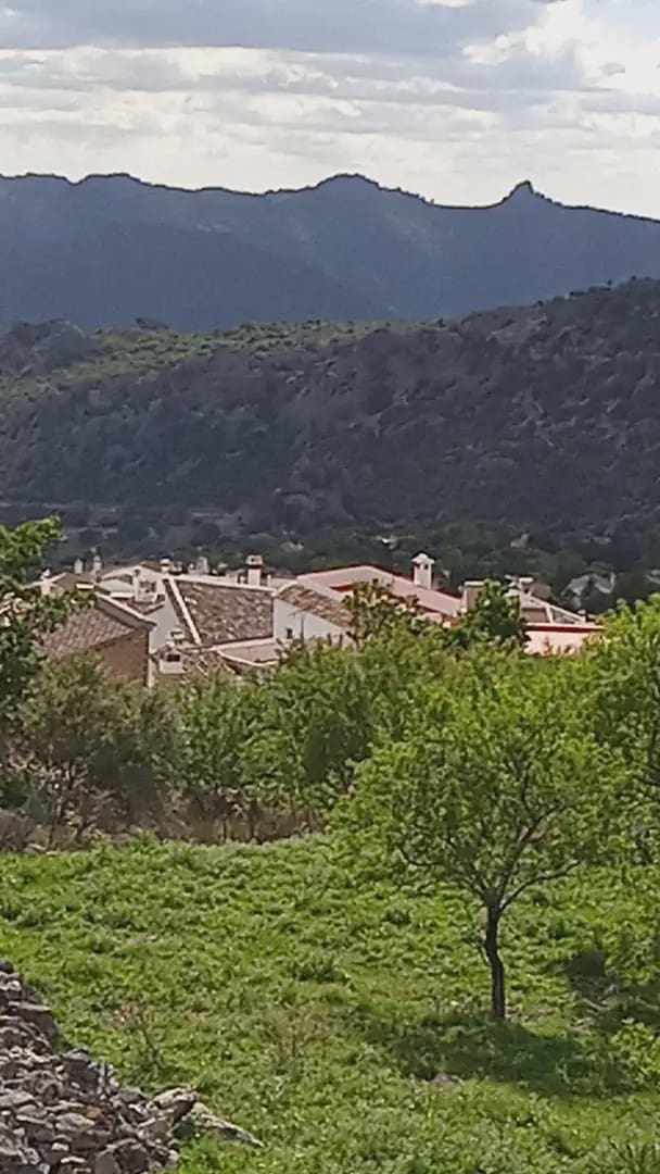 Mark till salu i Benaocaz - 90 000 € (Ref: 10016379)