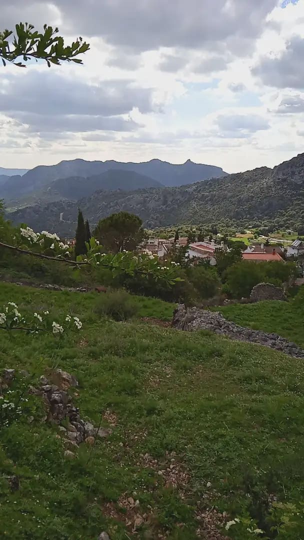 Mark till salu i Benaocaz - 90 000 € (Ref: 10016379)