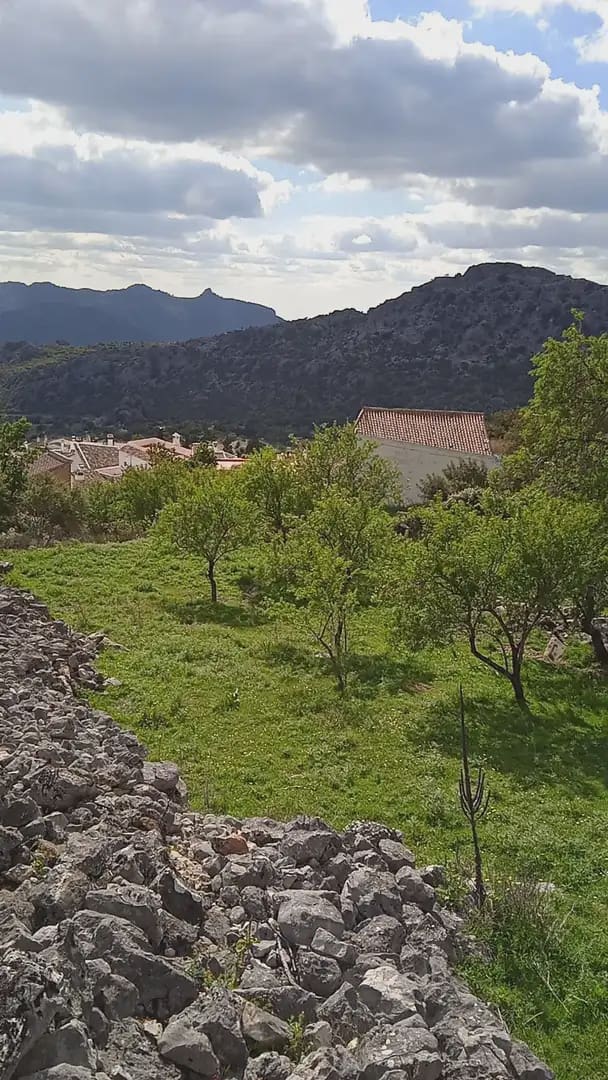 Mark till salu i Benaocaz - 90 000 € (Ref: 10016379)