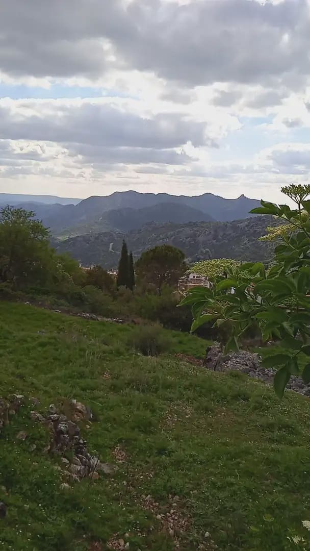 Mark till salu i Benaocaz - 90 000 € (Ref: 10016379)