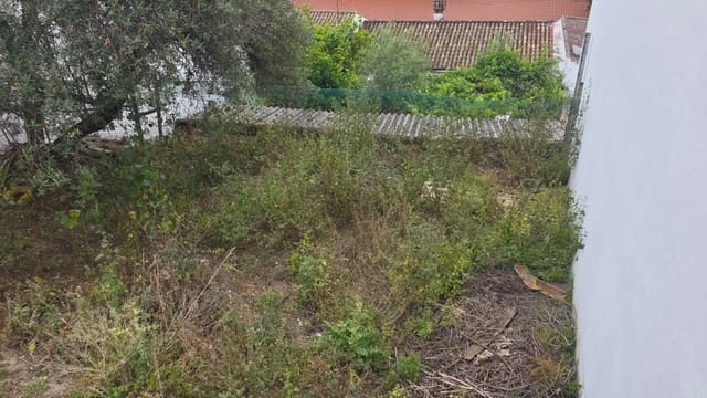 Terreno para Construção para venda em Benamahoma, Grazalema - 60 000 € (Ref: 10016380)