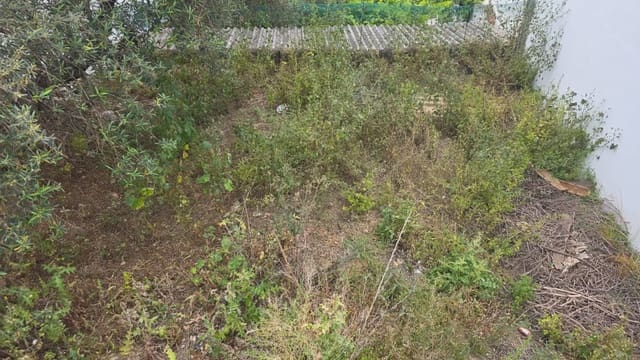 Terreno para Construção para venda em Benamahoma, Grazalema - 60 000 € (Ref: 10016380)
