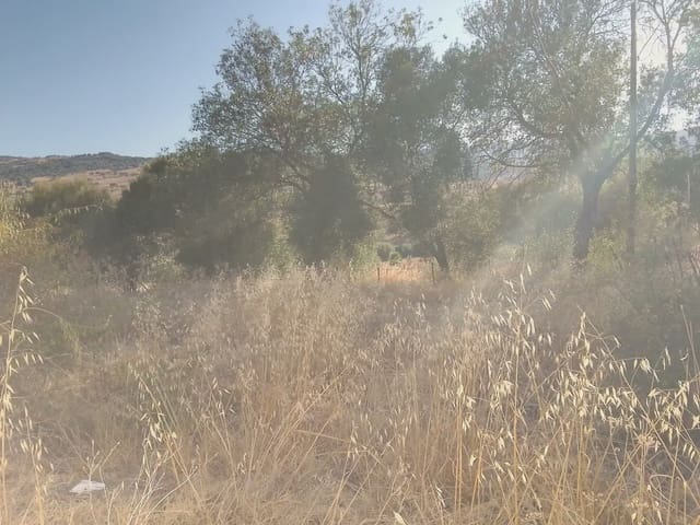 Finca/Landehus til salg i Ubrique - € 125.000 (Ref: 10016382)