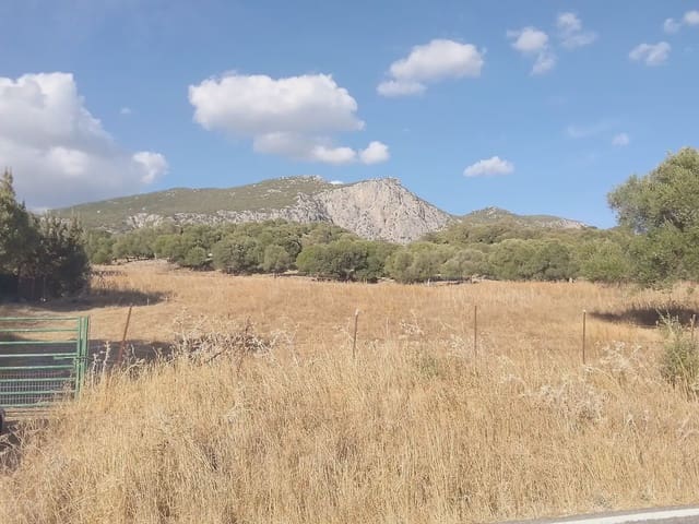 Finca/Landehus til salg i Ubrique - € 125.000 (Ref: 10016382)