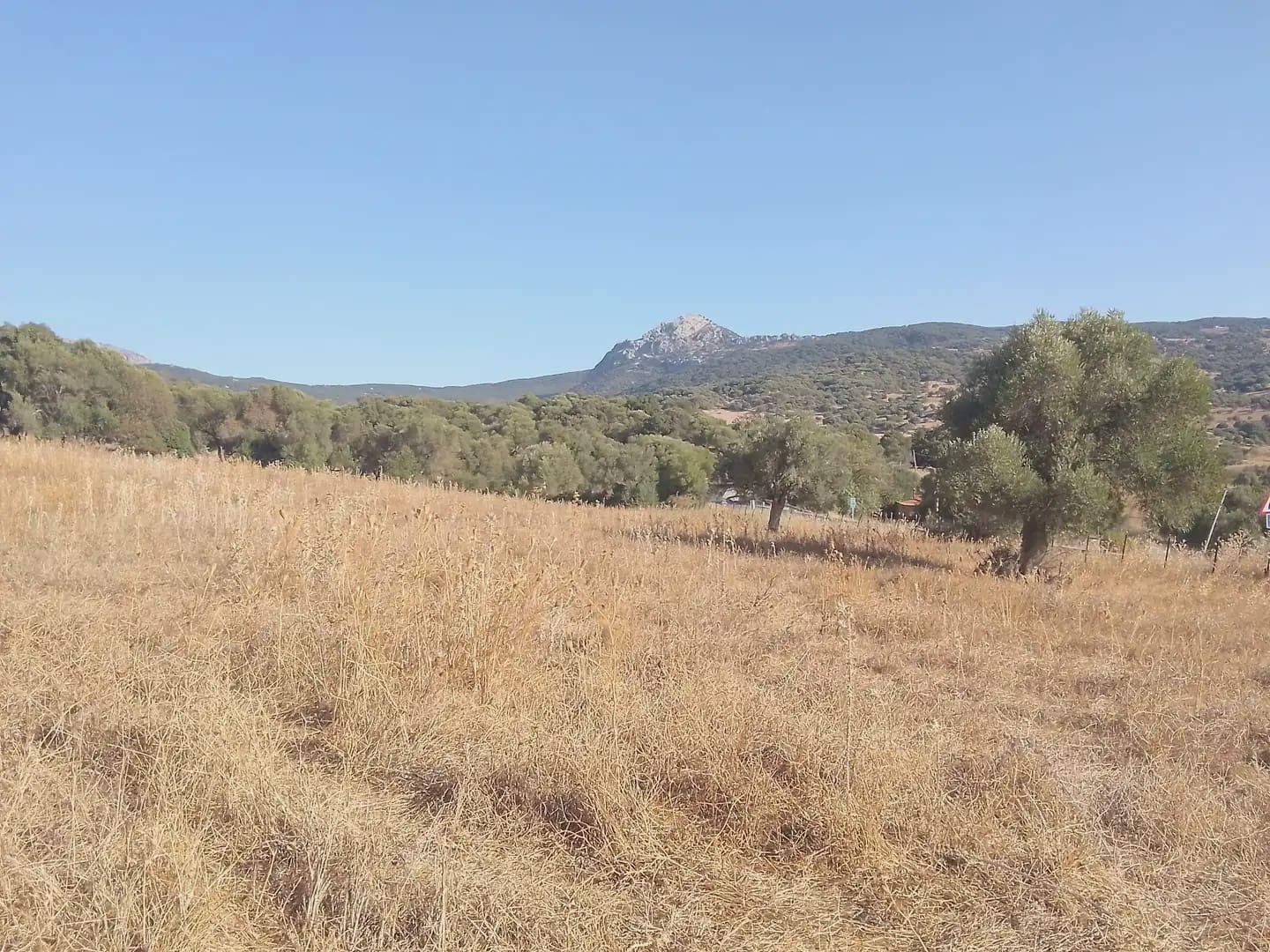 Finca/Herregård til salgs i Ubrique - € 125 000 (Ref: 10016382)