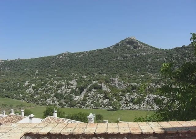 3 slaapkamer Huis te koop in Villaluenga del Rosario - € 260.000 (Ref: 10016387)