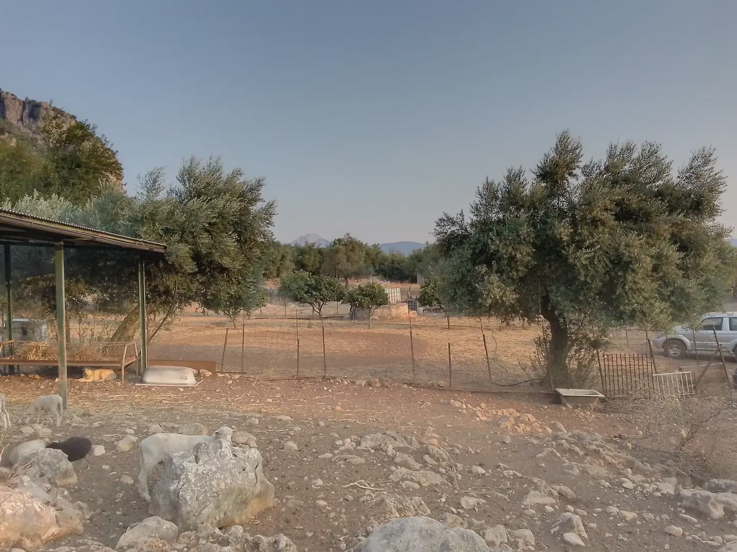 Terreno Não Urbanizado para venda em Ubrique - 450 000 € (Ref: 10016391)