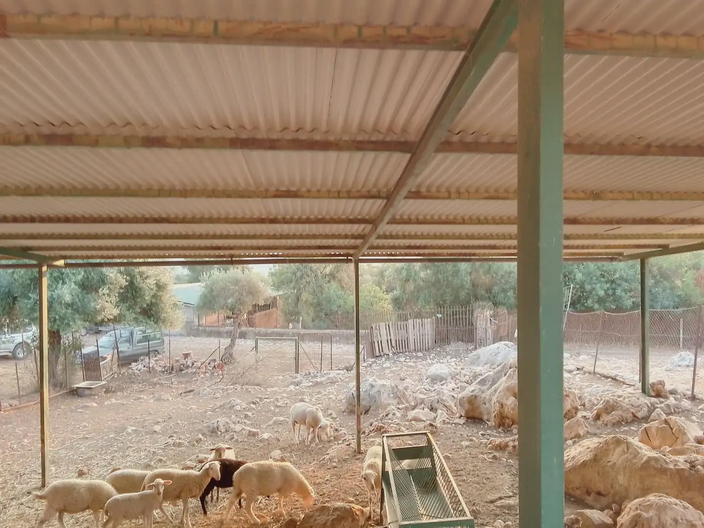 Terreno Não Urbanizado para venda em Ubrique - 450 000 € (Ref: 10016391)