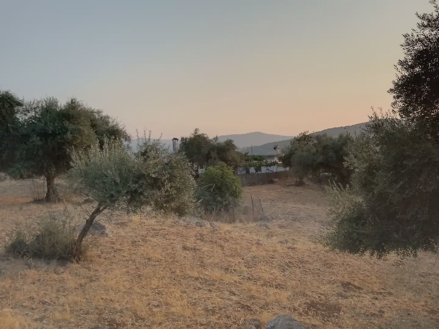 Terreno Não Urbanizado para venda em Ubrique - 450 000 € (Ref: 10016391)