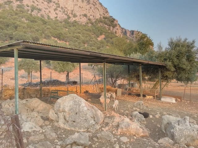 Teren niezagospodarowany na sprzedaż w Ubrique - 450 000 € (Ref: 10016391)