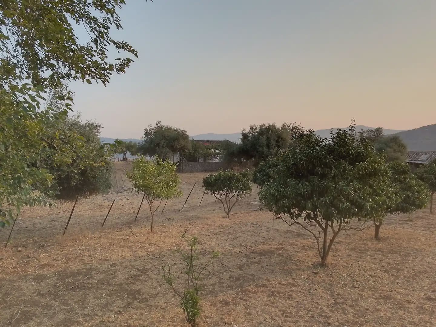 Terreno Não Urbanizado para venda em Ubrique - 450 000 € (Ref: 10016391)