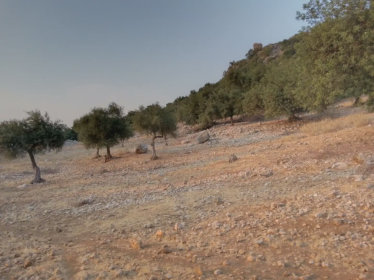 Terreno Não Urbanizado para venda em Ubrique - 450 000 € (Ref: 10016391)