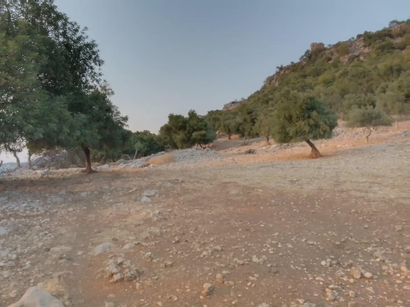 Terreno Não Urbanizado para venda em Ubrique - 450 000 € (Ref: 10016391)