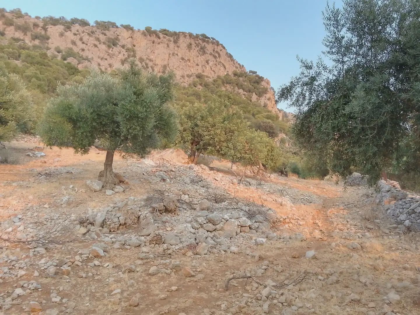 Terreno Não Urbanizado para venda em Ubrique - 450 000 € (Ref: 10016391)