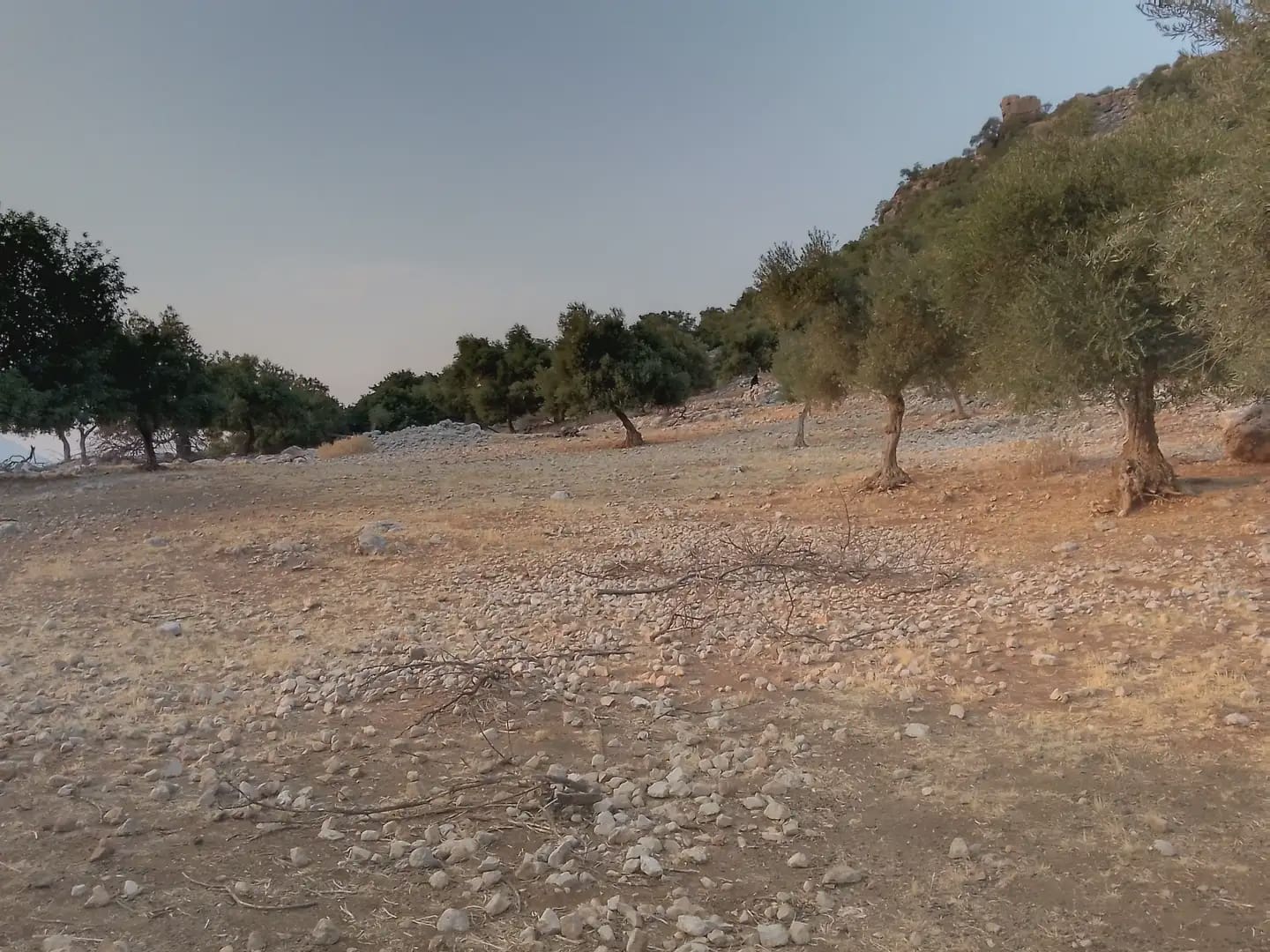 Terreno Não Urbanizado para venda em Ubrique - 450 000 € (Ref: 10016391)