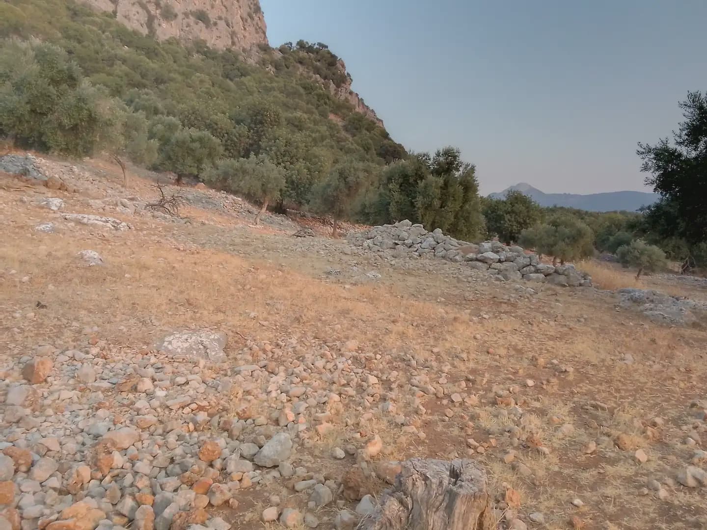 Terreno Não Urbanizado para venda em Ubrique - 450 000 € (Ref: 10016391)
