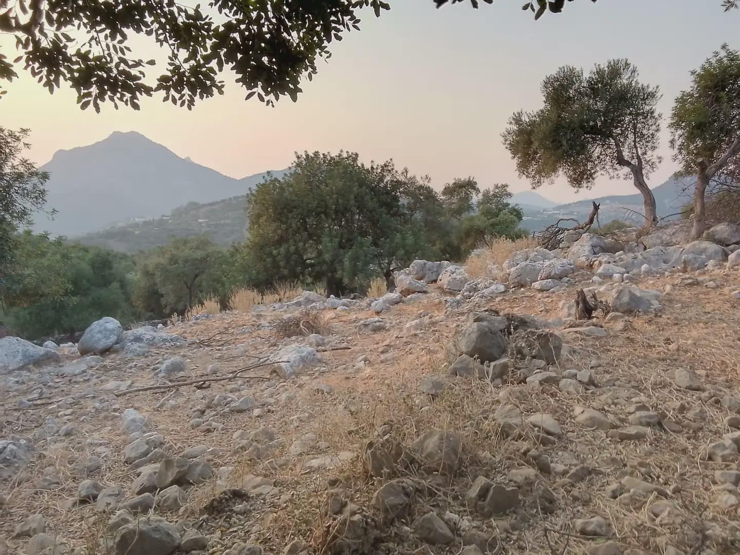 Terreno Não Urbanizado para venda em Ubrique - 450 000 € (Ref: 10016391)