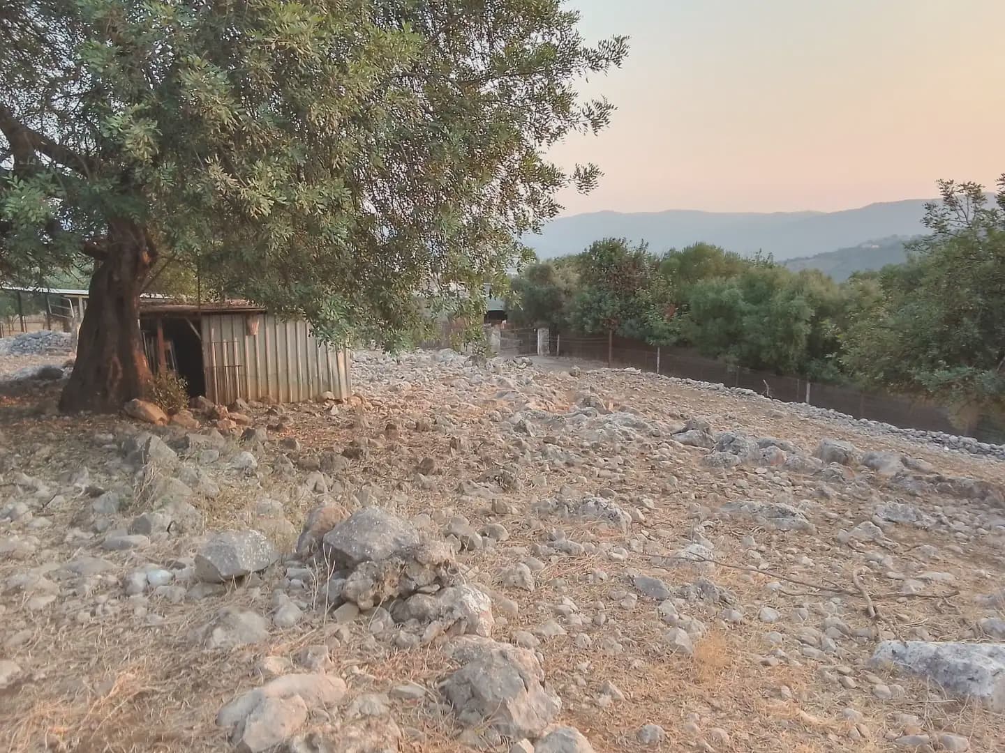 Terreno Não Urbanizado para venda em Ubrique - 450 000 € (Ref: 10016391)