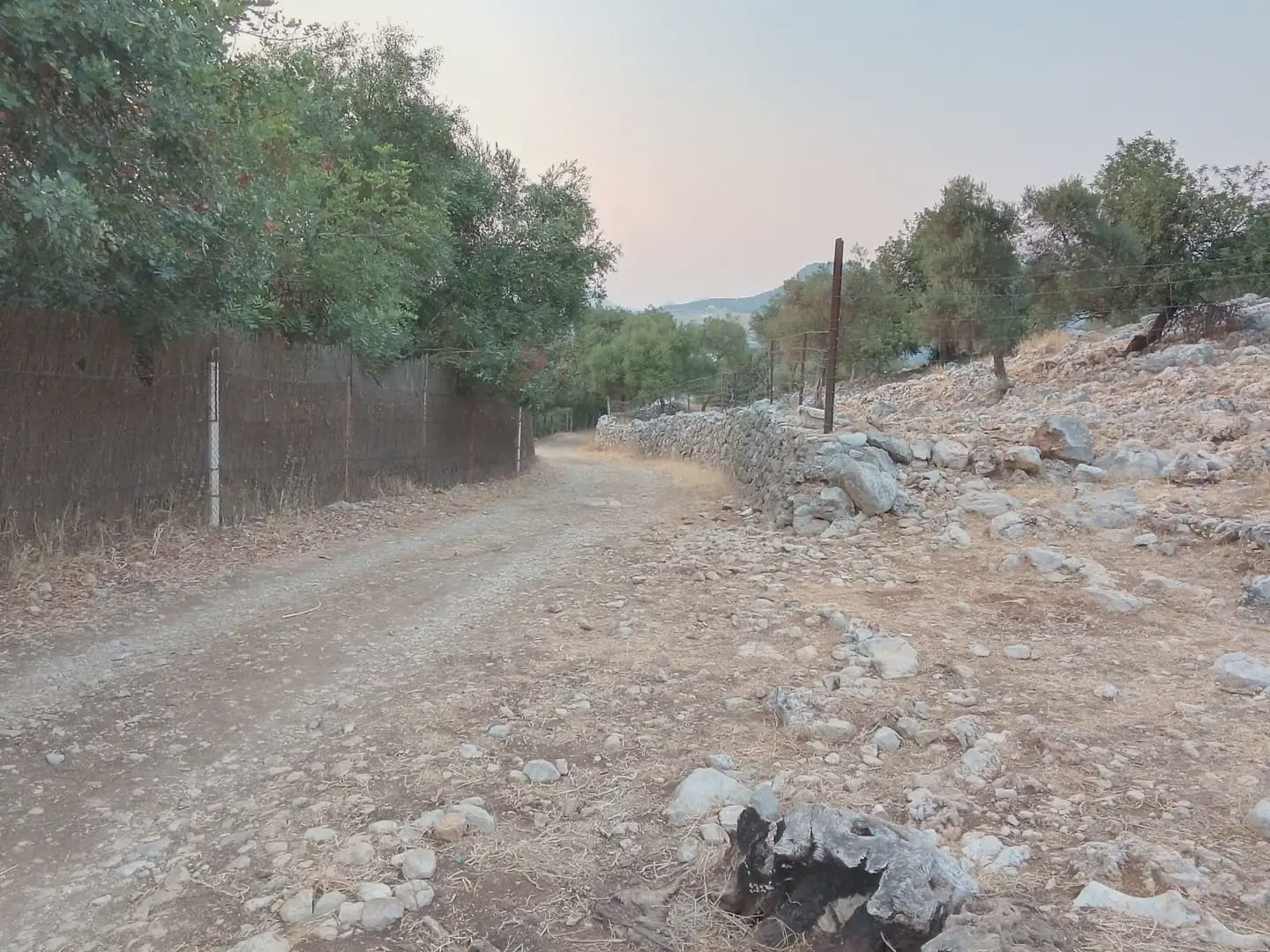 Terreno Não Urbanizado para venda em Ubrique - 450 000 € (Ref: 10016391)