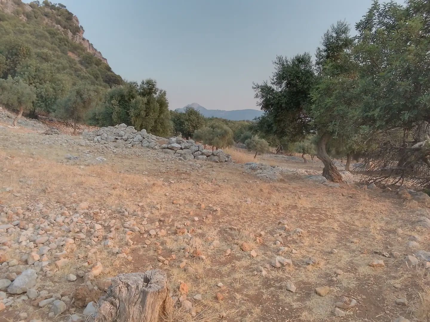 Terreno Não Urbanizado para venda em Ubrique - 450 000 € (Ref: 10016391)