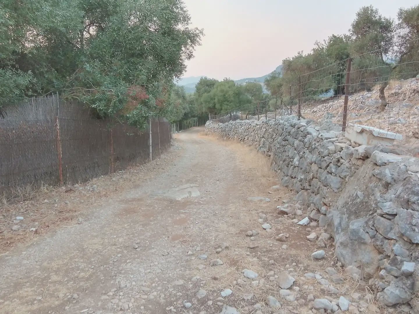 Terreno Não Urbanizado para venda em Ubrique - 450 000 € (Ref: 10016391)