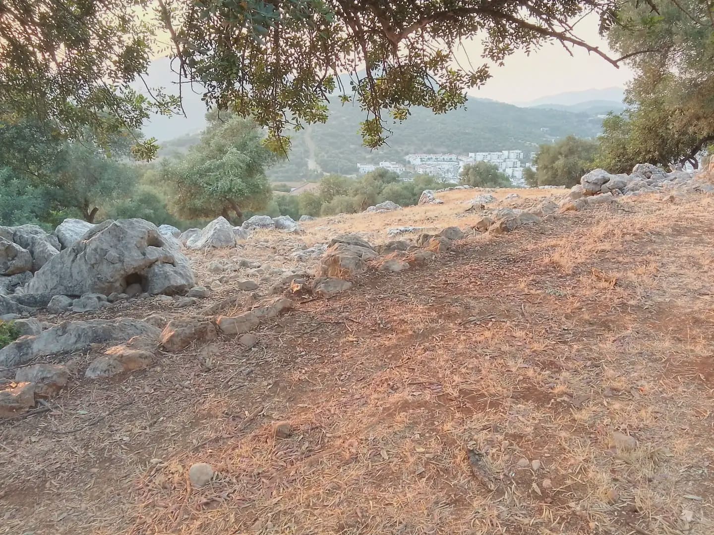 Terreno Não Urbanizado para venda em Ubrique - 450 000 € (Ref: 10016391)