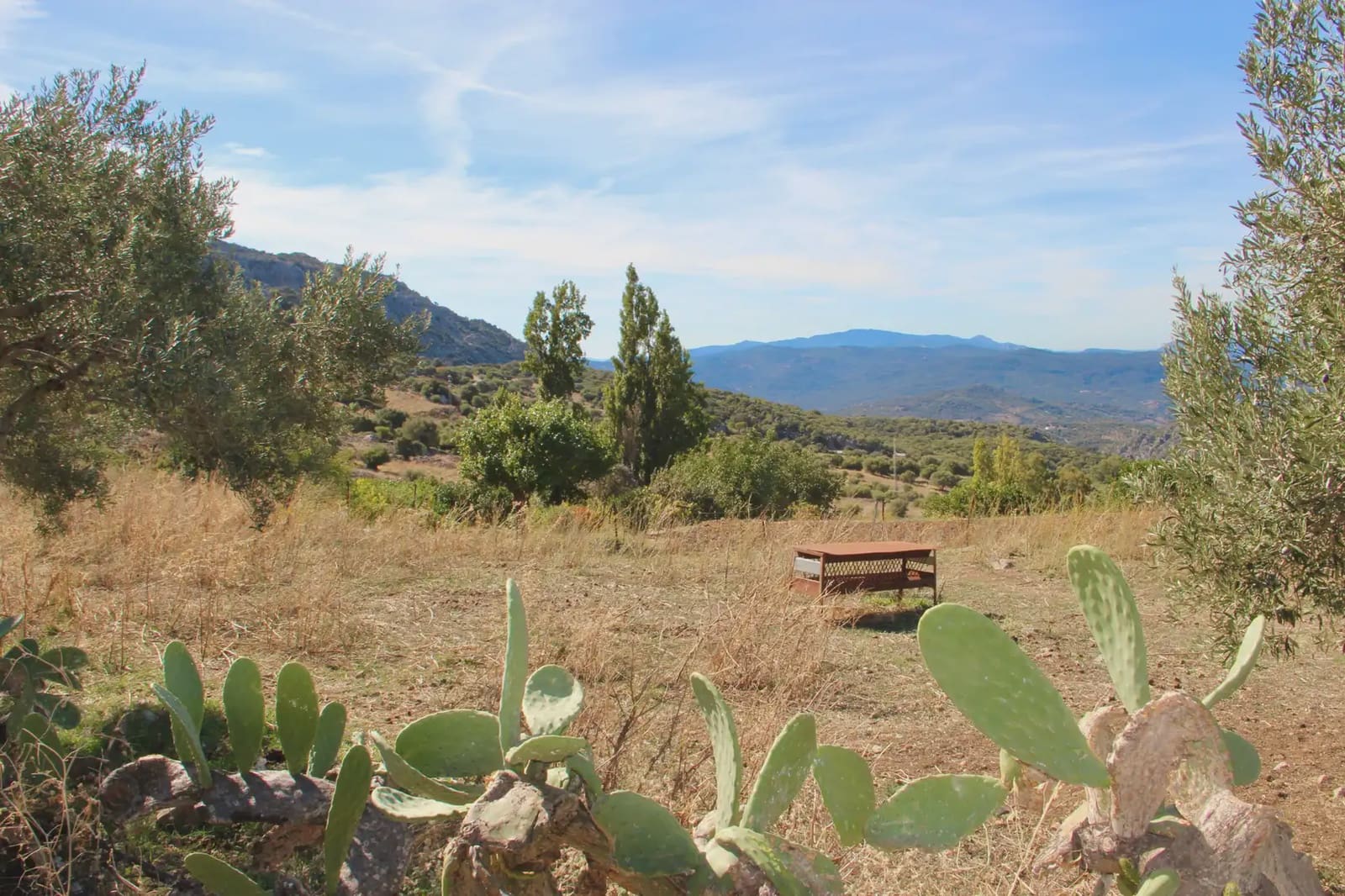4 soveværelse Finca/Landehus til salg i Benaocaz med swimmingpool - € 360.000 (Ref: 10016396)