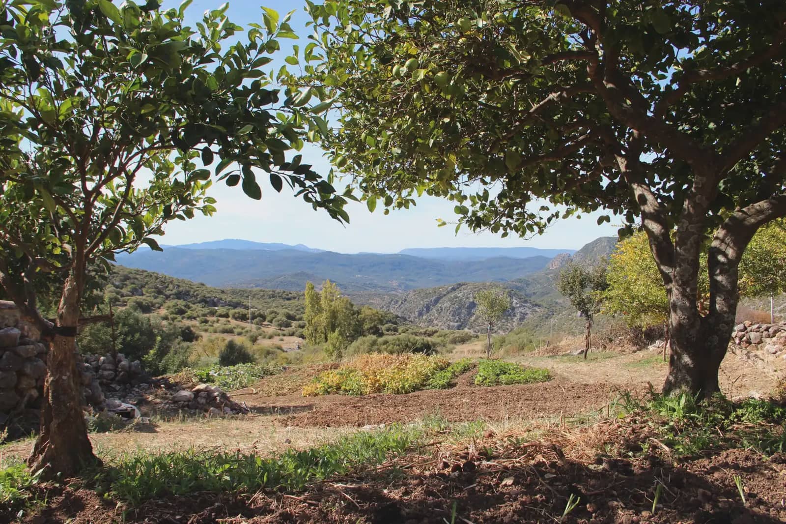 4 soveværelse Finca/Landehus til salg i Benaocaz med swimmingpool - € 360.000 (Ref: 10016396)