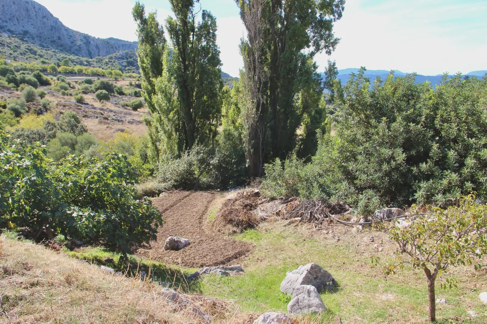 4 soveværelse Finca/Landehus til salg i Benaocaz med swimmingpool - € 360.000 (Ref: 10016396)