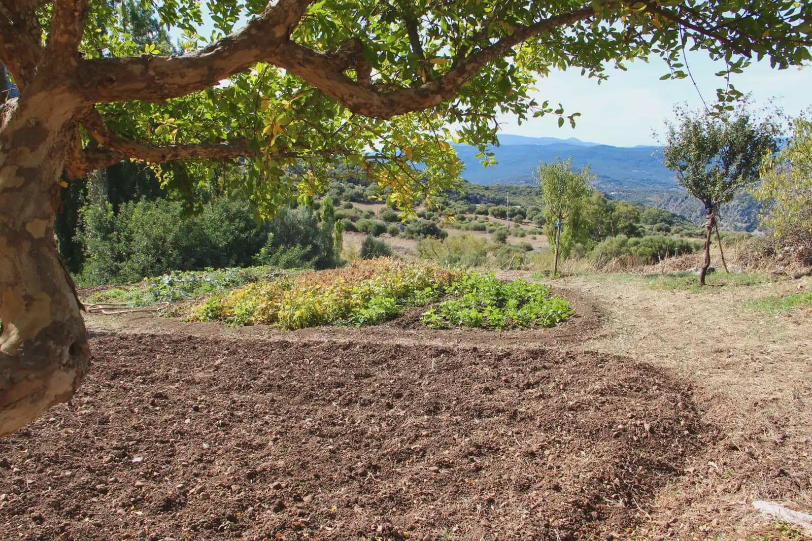 4 soveværelse Finca/Landehus til salg i Benaocaz med swimmingpool - € 360.000 (Ref: 10016396)