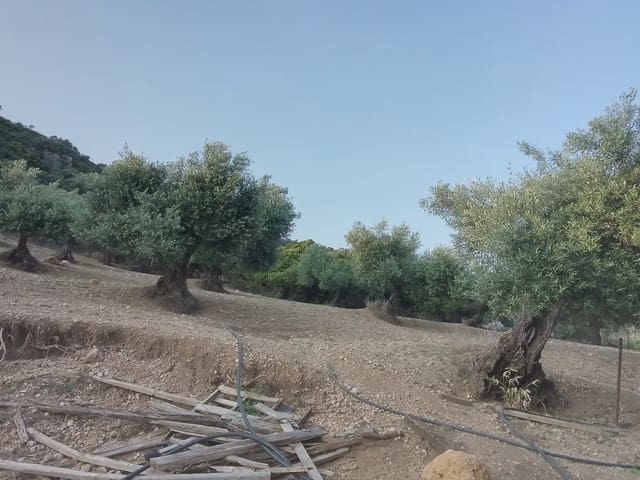 Finca/Casa di Campagna in vendita in Villamartín - 250.000 € (Rif: 10016397)