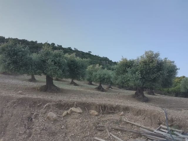 Finca/Casa di Campagna in vendita in Villamartín - 250.000 € (Rif: 10016397)