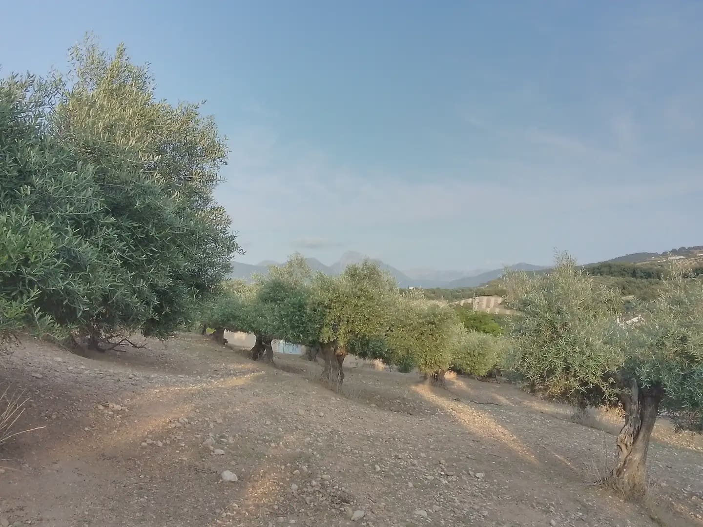 Finca/Landehus til salg i Villamartin - € 250.000 (Ref: 10016397)