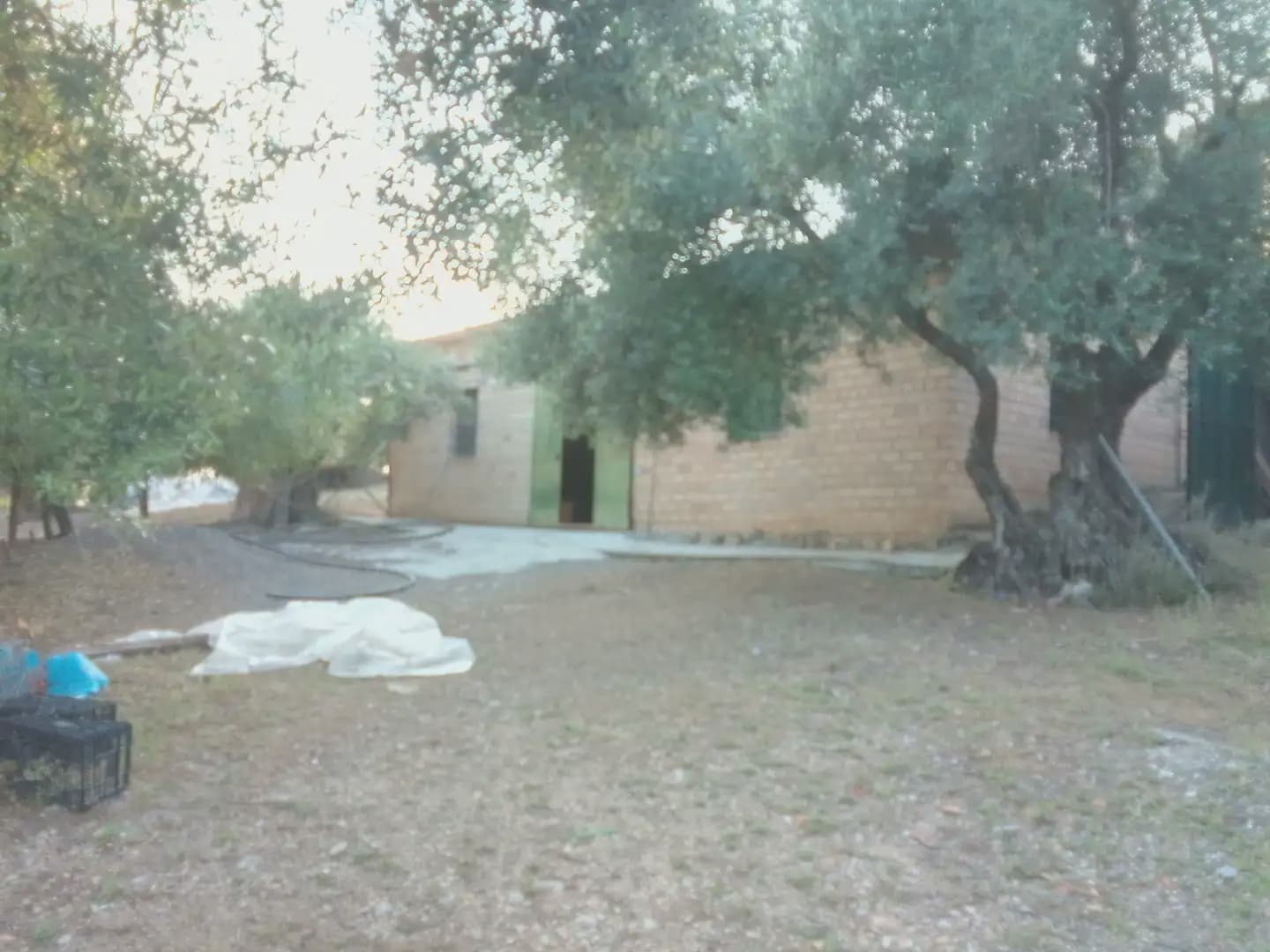 Finca/Landehus til salg i Villamartin - € 250.000 (Ref: 10016397)