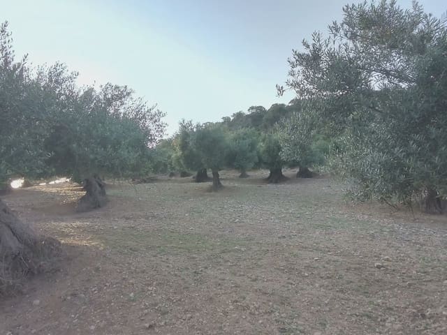 Finca/Casa di Campagna in vendita in Villamartín - 250.000 € (Rif: 10016397)