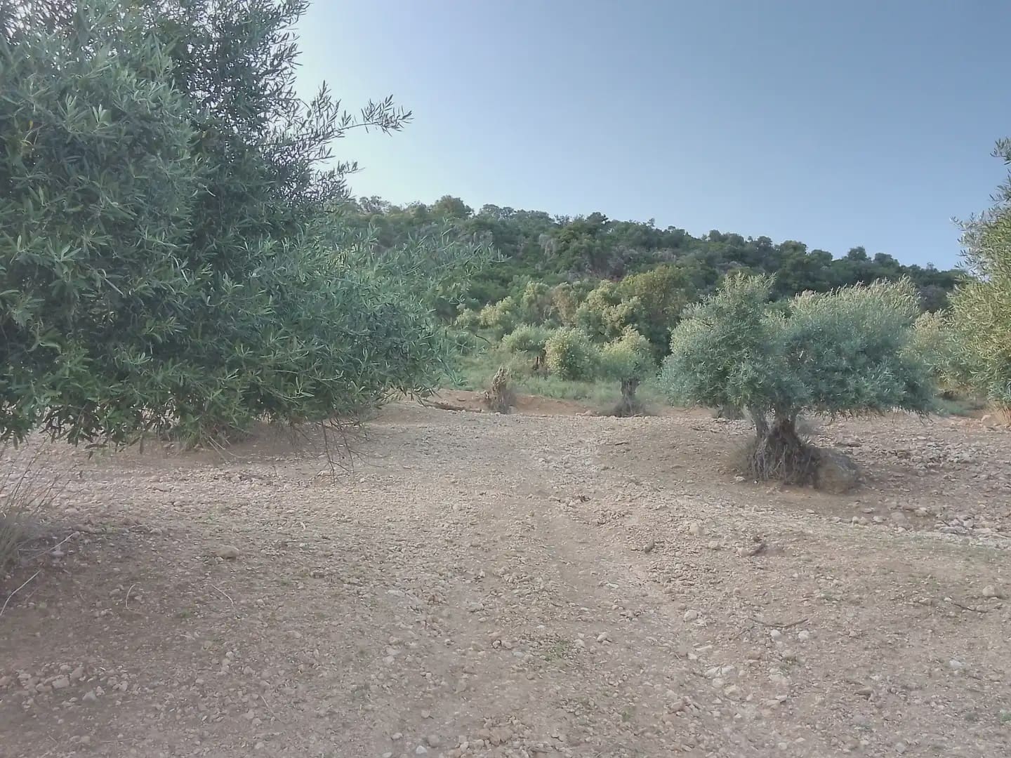 Finca/Landehus til salg i Villamartin - € 250.000 (Ref: 10016397)