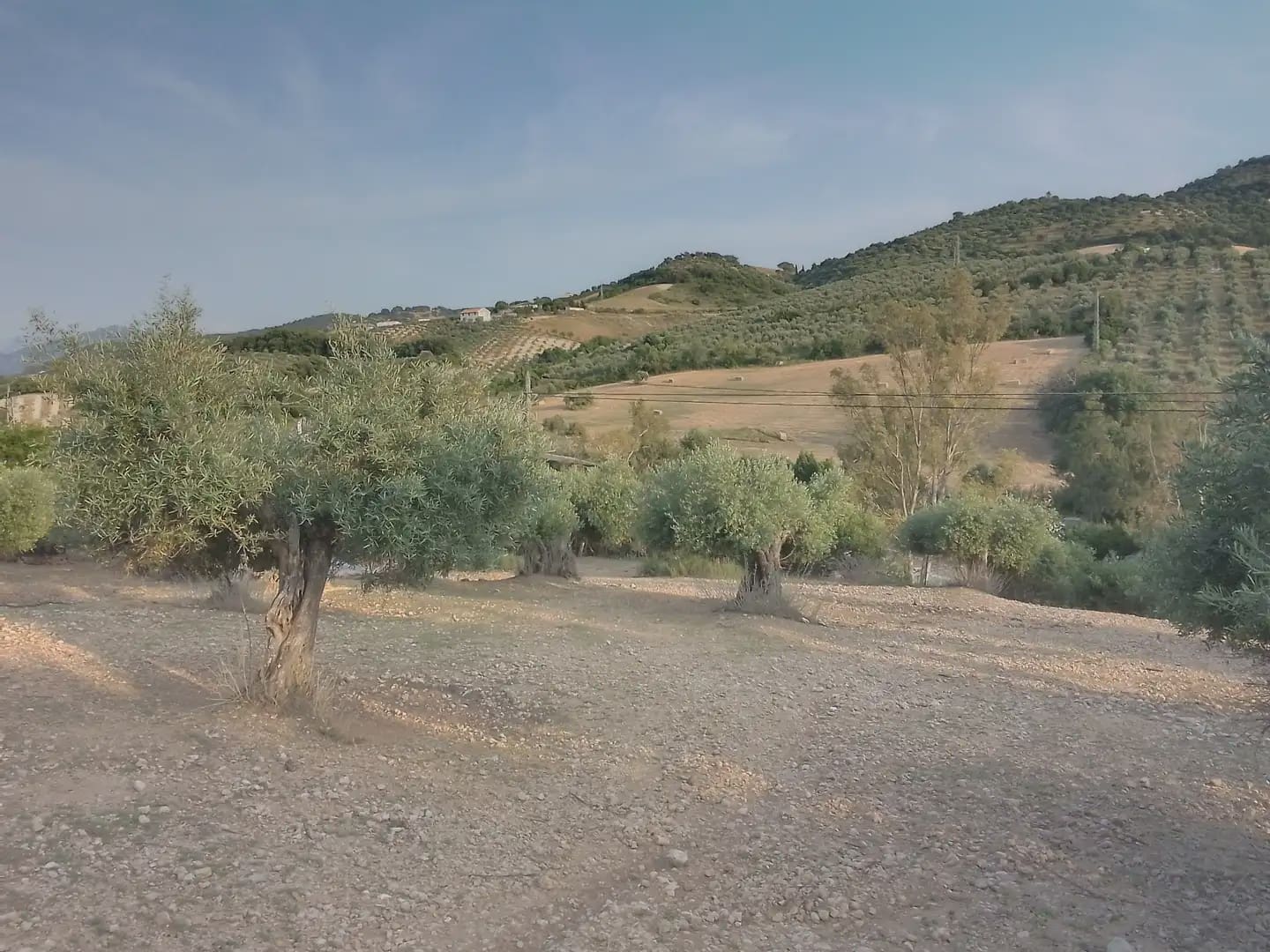 Finca/Landehus til salg i Villamartin - € 250.000 (Ref: 10016397)