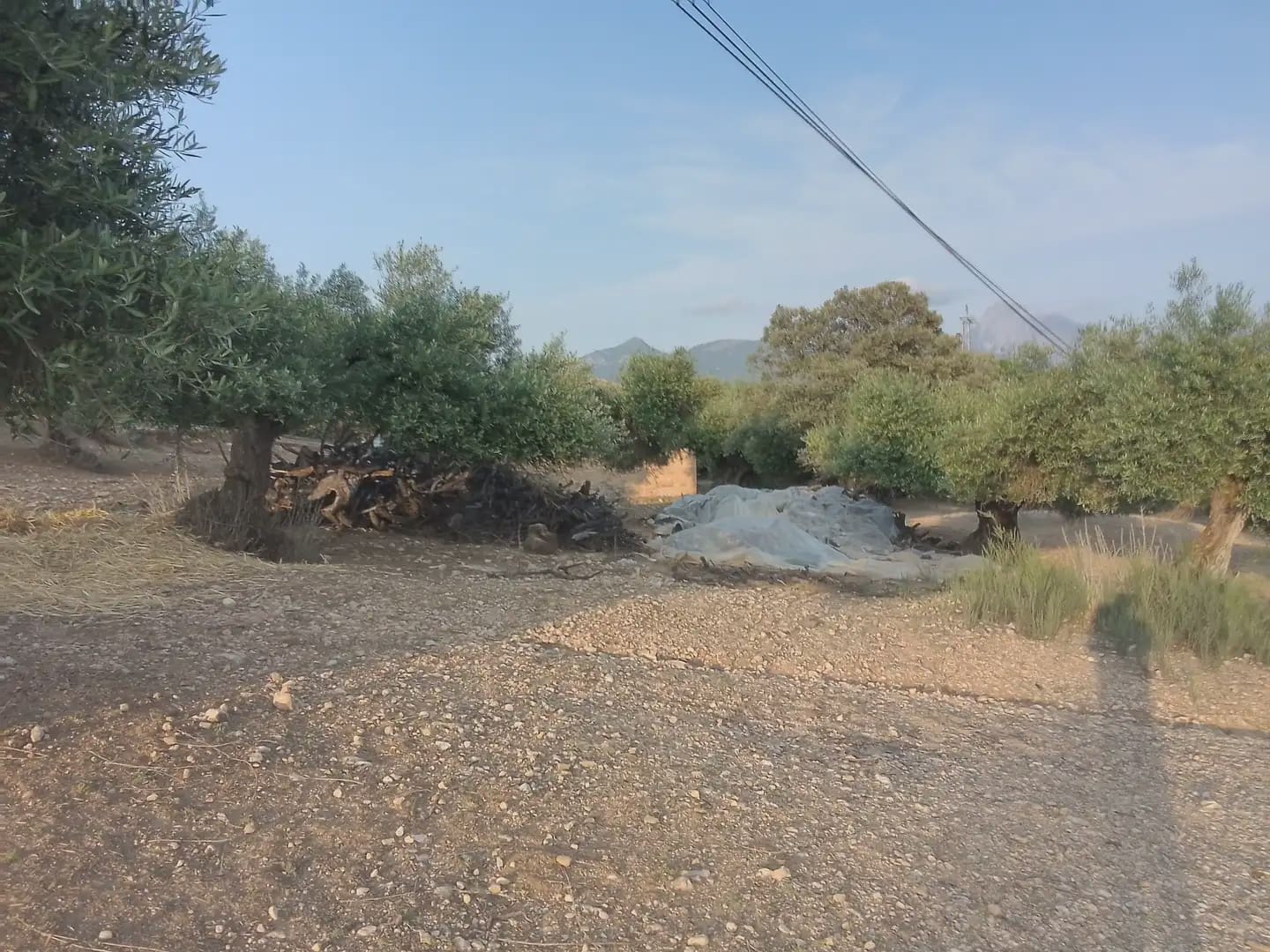 Finca/Landehus til salg i Villamartin - € 250.000 (Ref: 10016397)