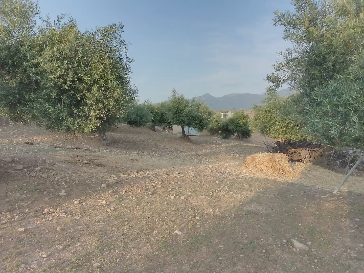 Finca/Landehus til salg i Villamartin - € 250.000 (Ref: 10016397)