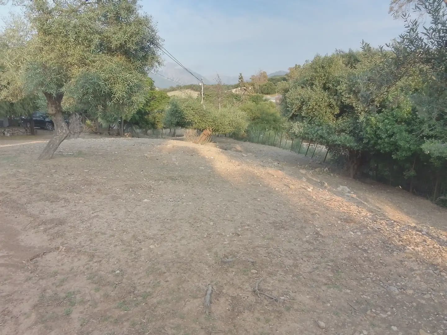 Finca/Landehus til salg i Villamartin - € 250.000 (Ref: 10016397)