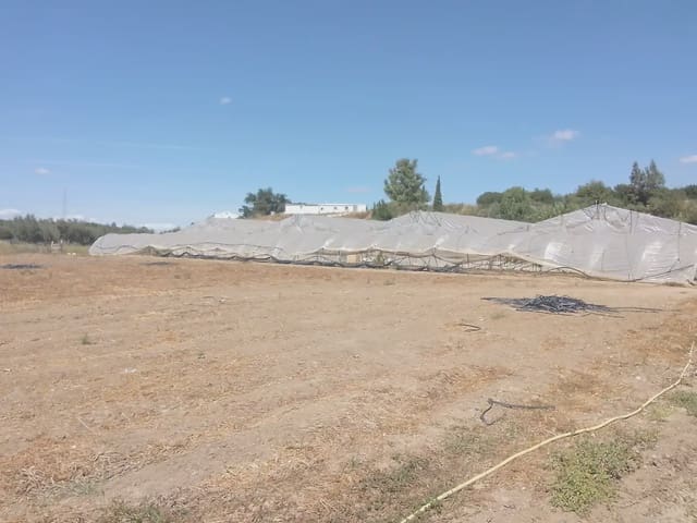 Terreno Não Urbanizado para venda em Hermandad de Campoo de Suso - 250 000 € (Ref: 10016399)