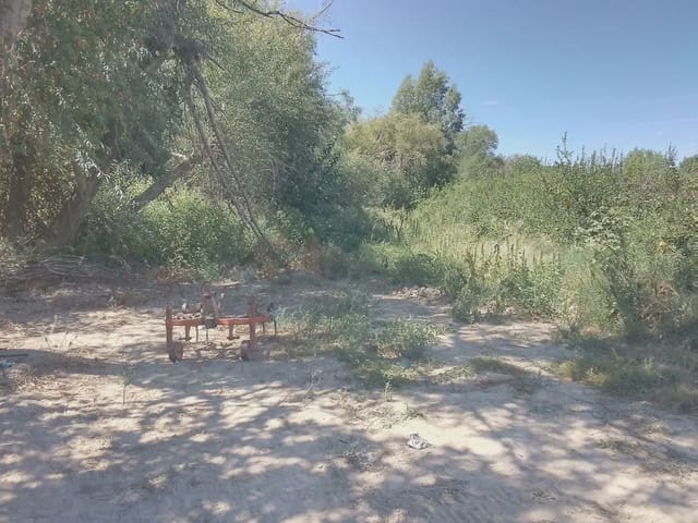 Terreno Não Urbanizado para venda em Hermandad de Campoo de Suso - 250 000 € (Ref: 10016399)