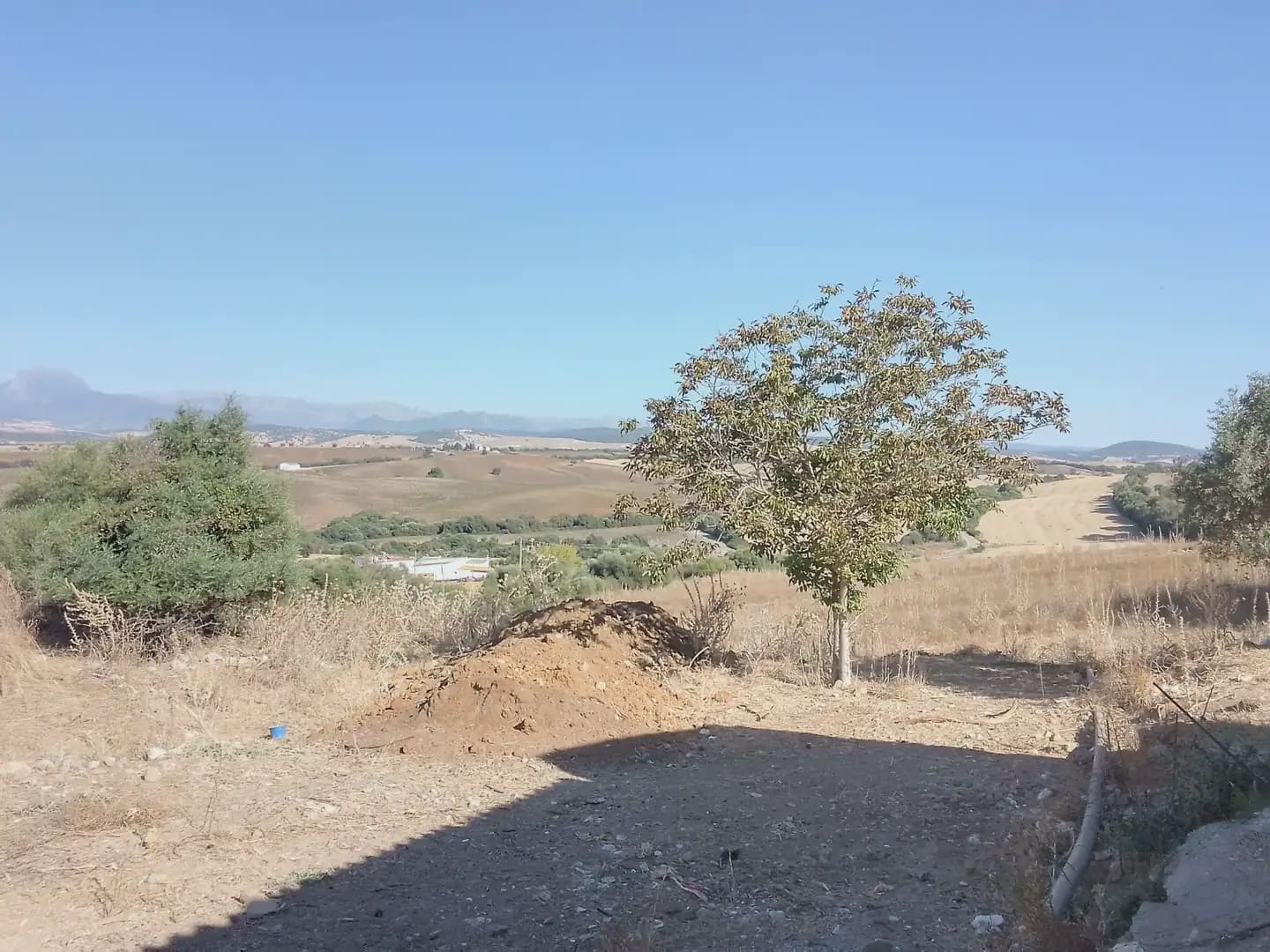 Building Plot for sale in Arcos de la Frontera - € 182,000 (Ref: 10016407)